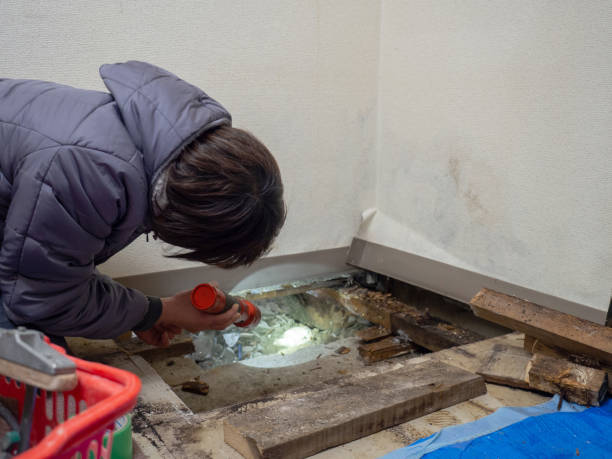 Biohazard Mold Removal in Cherry Valley, IL