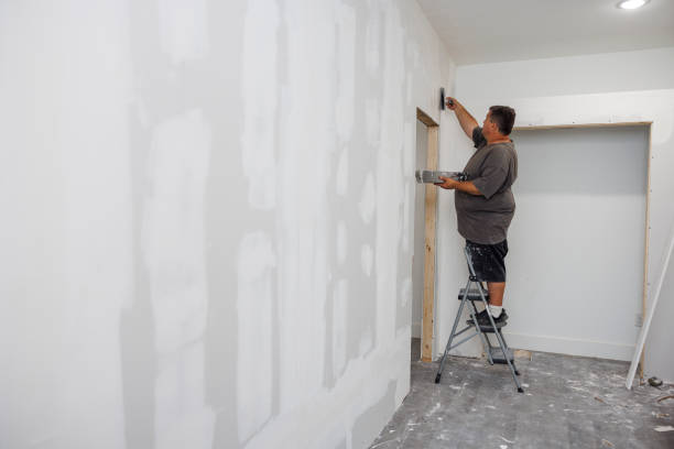 Best Post-Remediation Verification Testing  in Cherry Valley, IL